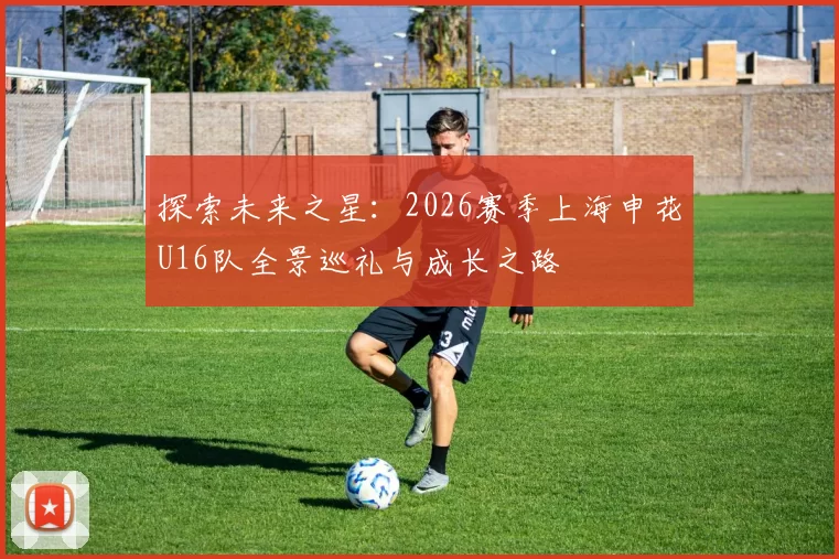 探索未来之星：2026赛季上海申花U16队全景巡礼与成长之路