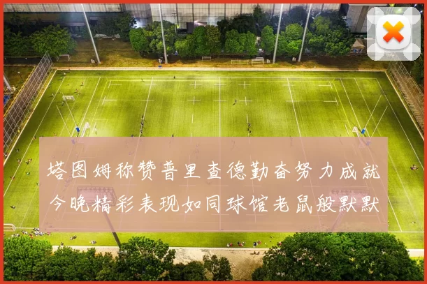 塔图姆称赞普里查德勤奋努力成就今晚精彩表现如同球馆老鼠般默默付出